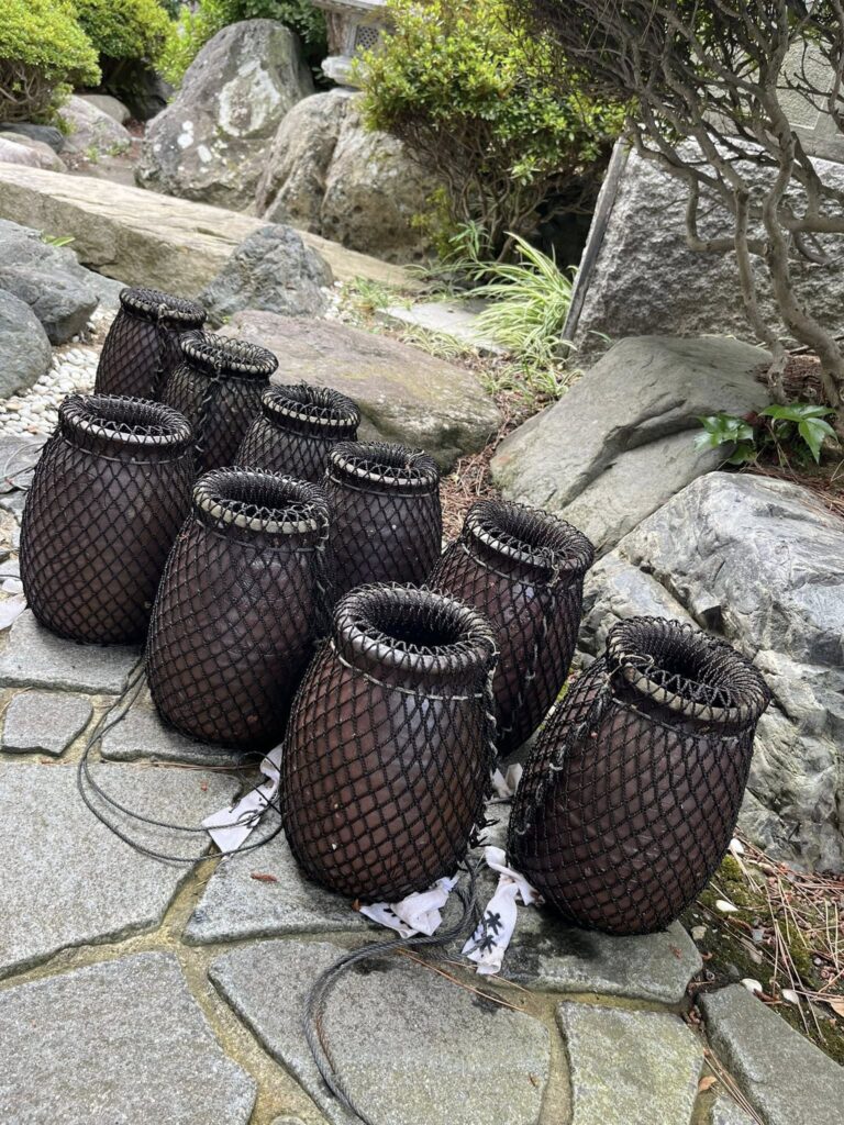 大漁！引き揚げてみんなのタコ壺にタコが入っていた