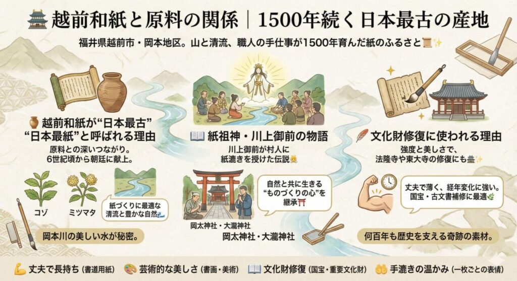 🏯 越前和紙と原料の関係|1500年続く日本最古の産地