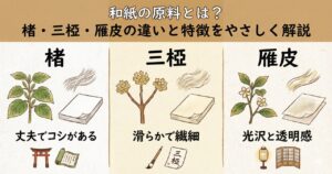 和紙の原料とは?楮・三椏・ガンピの違いと特徴をやさしく解説